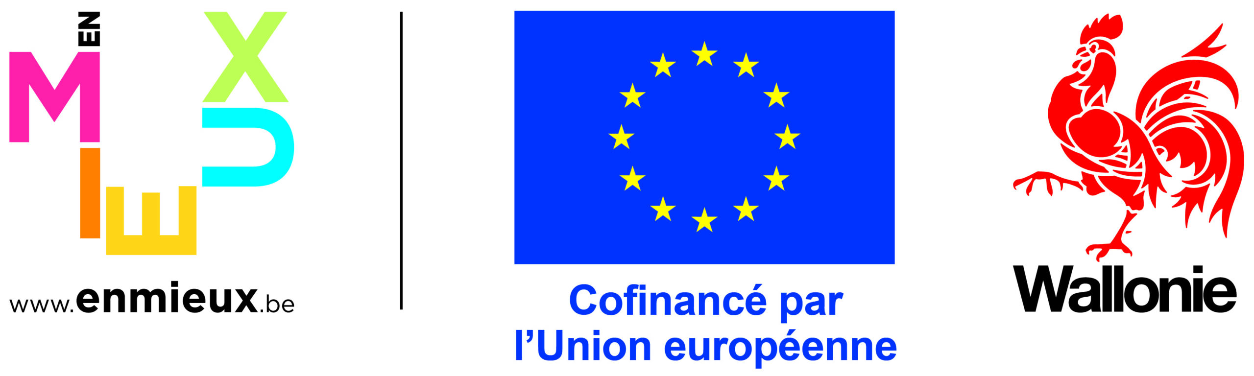 Logo FEDER UE